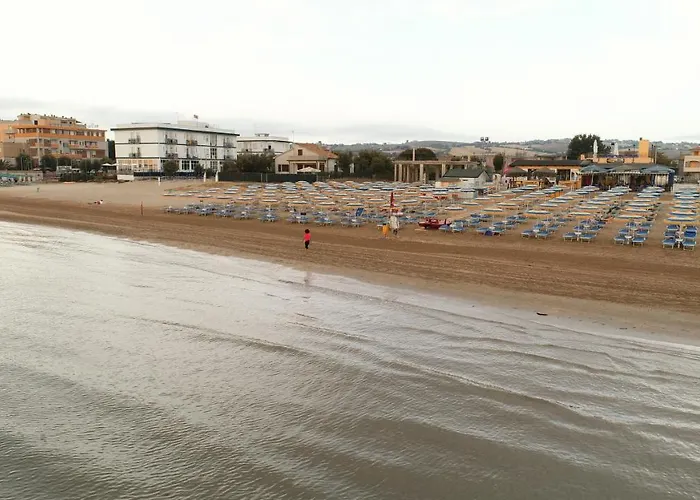 Internazionale Marotta